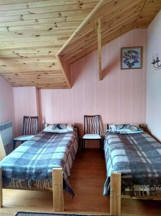 Загородные дома Sadyba Radisnyanka Radisne Двухместный номер Делюкс с 2 отдельными кроватями-2